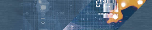 Zayd Media: Boston Web Design, Print Design, Graphic Design
